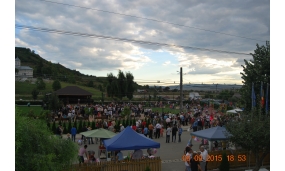 Ziua Comunei Tamasi 2015
